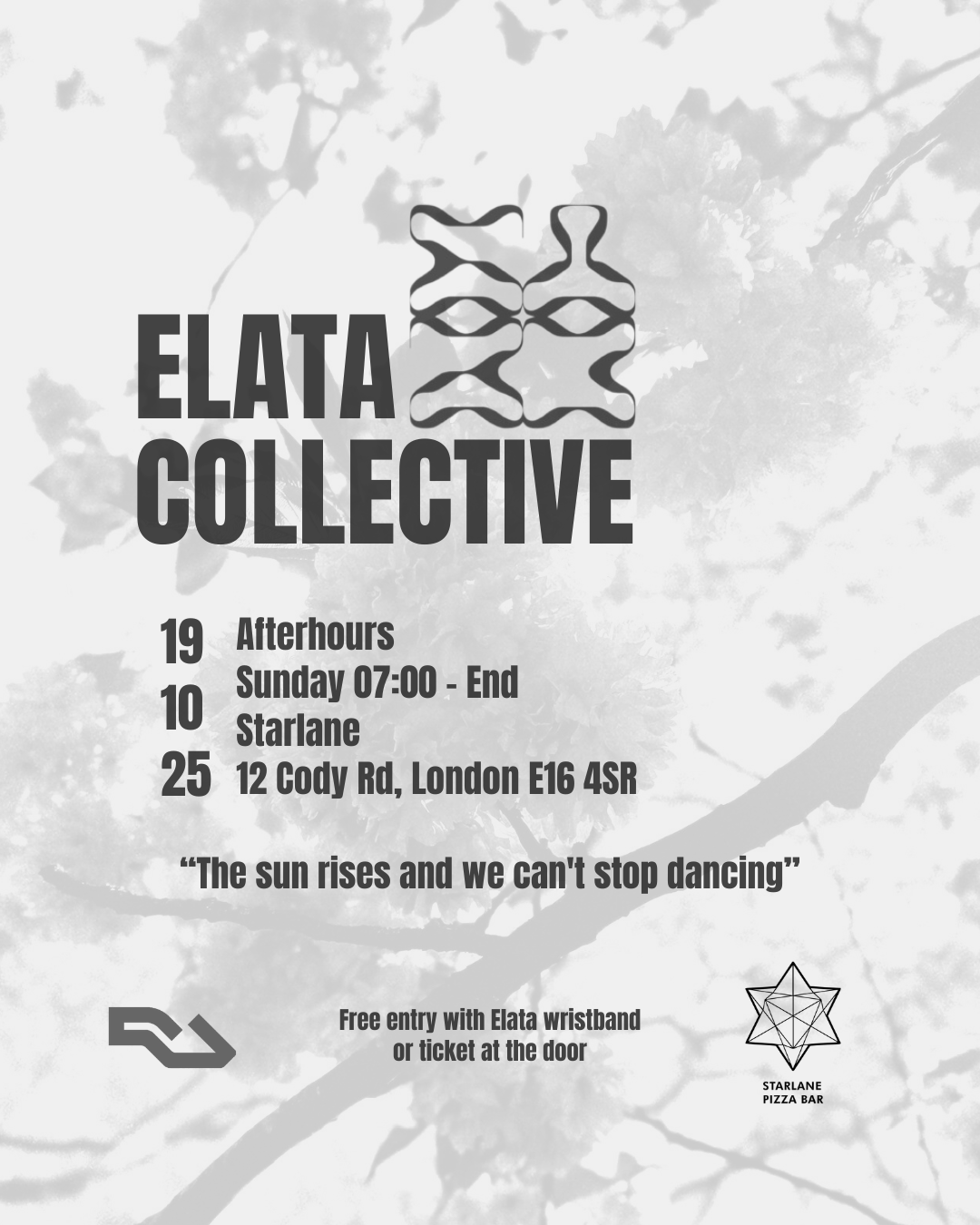 Elata X: Afterhours